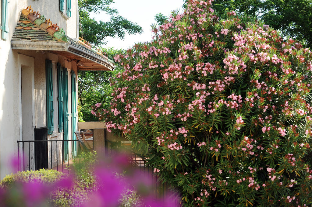 Villa Hameau Montplaisir Béziers Exterior foto